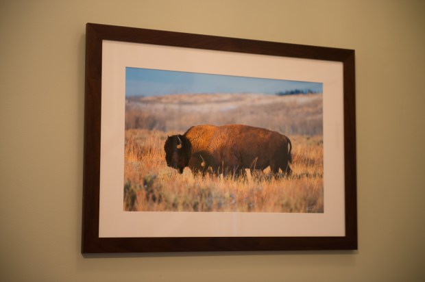 PRAIRIE PALS (1 of 1)